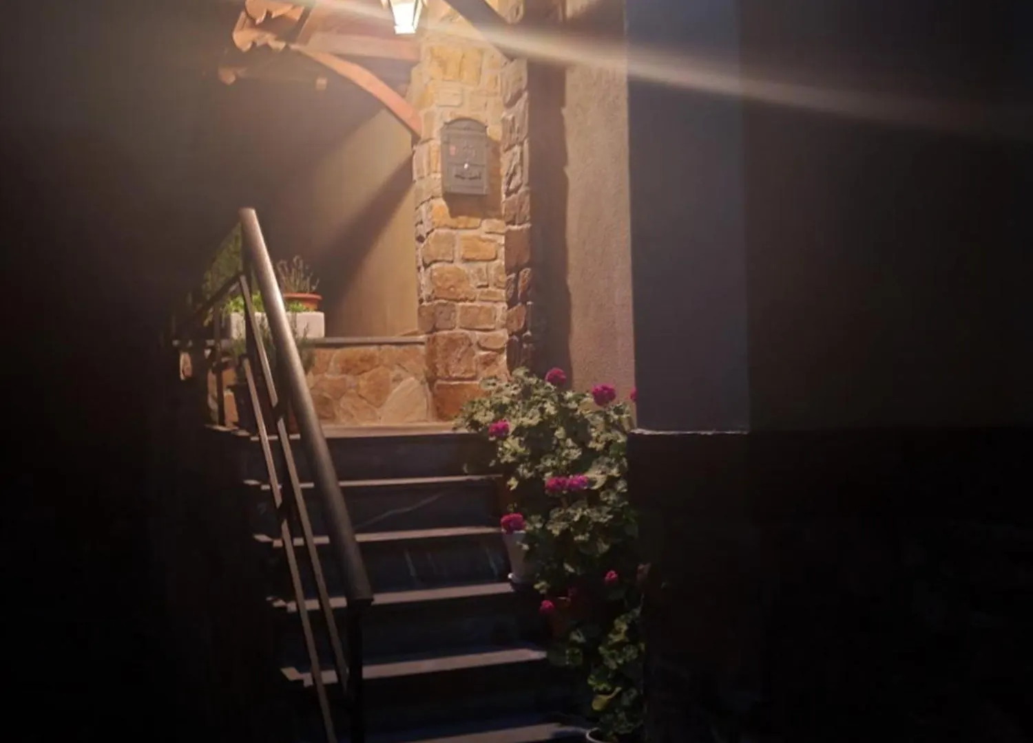 Vt Y Ht Arrizabalaga Rural Montana Apartment Bermeo Homestay