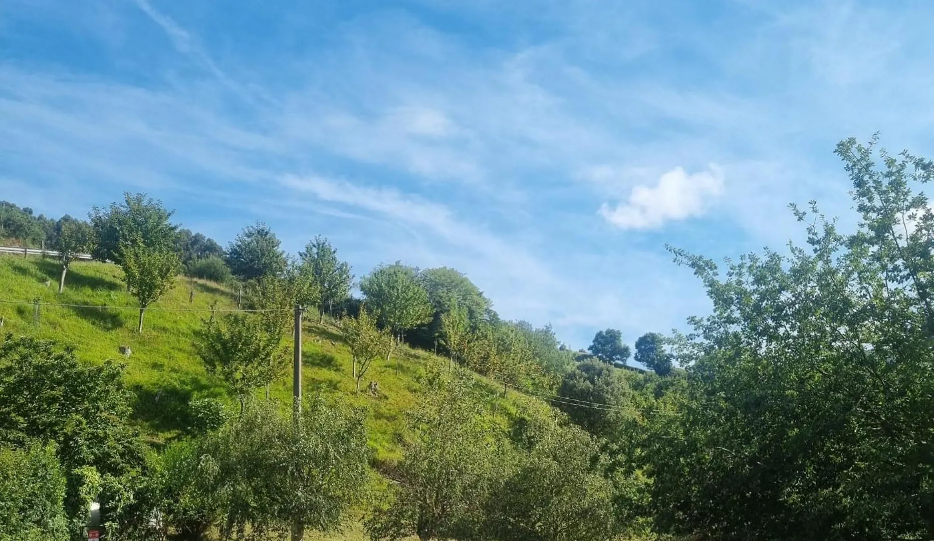 Homestay Vt Y Ht Arrizabalaga Rural Montana Apartment Bermeo Spain